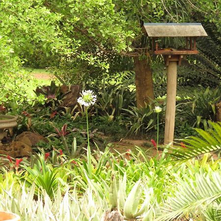 Kiaat Bungalows Hazyview Exterior photo