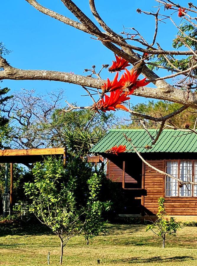 Kiaat Bungalows Hazyview Exterior photo